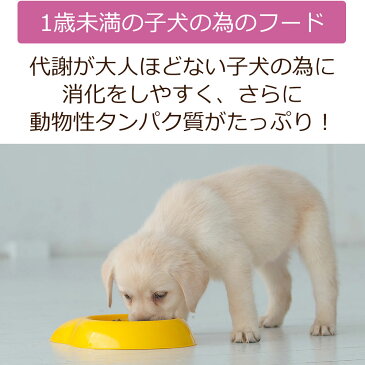 【初回お試しサンプル・送料無料】DailyStyle プレミアムドックフード 子犬用(1歳未満)100g入り/パピー(デイリースタイル/ベニソン/国産/無添加/鹿肉ドッグフード/犬/獣医師開発)※1世帯1個限り