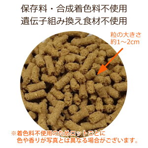 フードの粒の大きさの目安