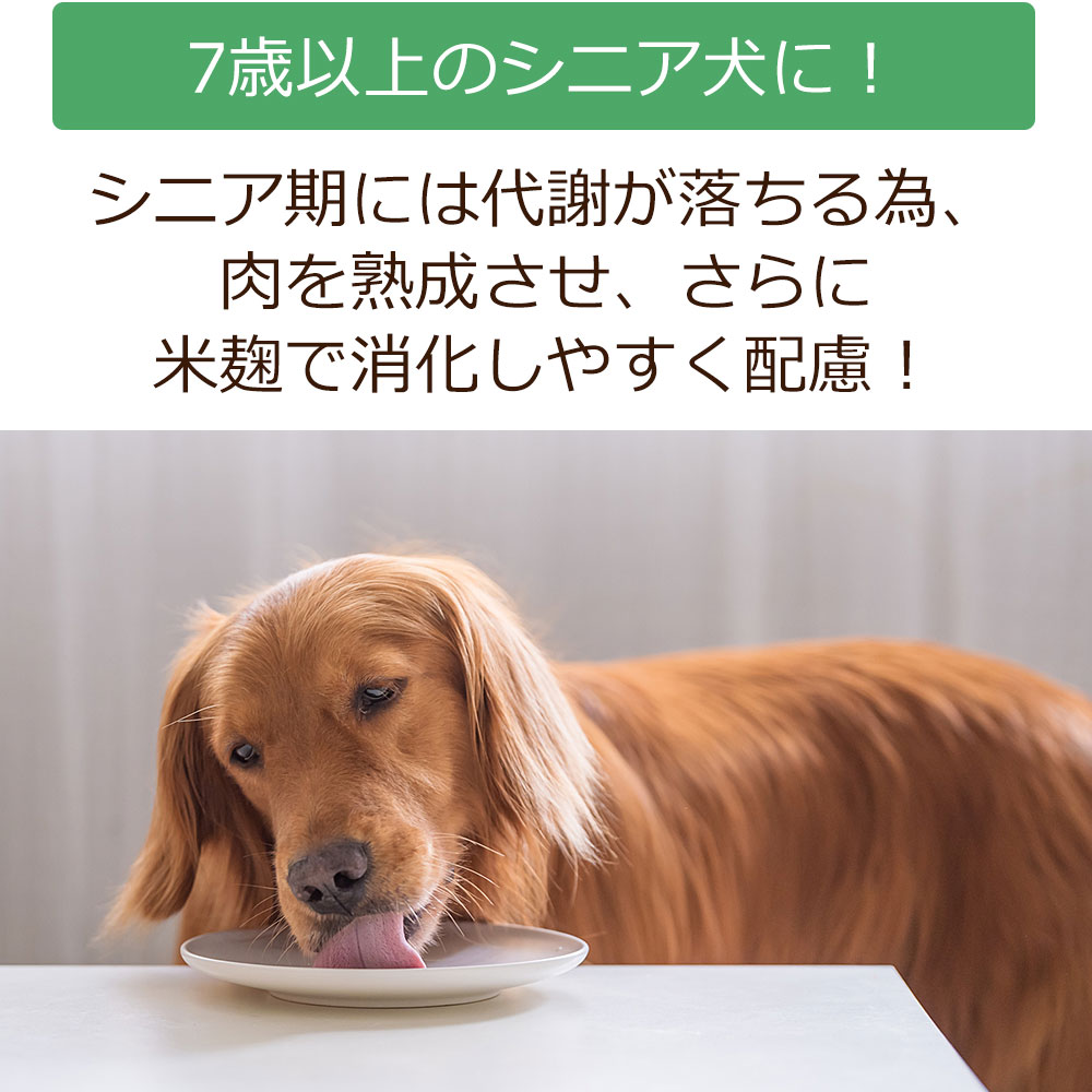 【初回お試しサンプル・送料無料】DailyStyle プレミアムドッグフード　高齢犬 シニア犬用 7歳以上 100g入り デイリースタイル ベニソン 国産 無添加 鹿肉ドッグフード 犬 獣医師開発 ※1世帯1個限り