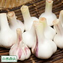 【予約商品】生にんにく 1kg 自然農