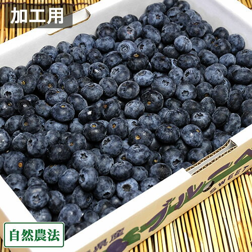 【クール便】【加工用】生ブルーベリー 1kg 自然農法 (青森県 アグリメイト南郷) 産地直送【クール料金込み】のサムネイル