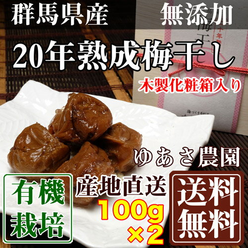 二十年熟成梅干し 木製化粧箱入り 100g 2箱 群馬県 ゆあさ農園 有機栽培 梅 無添加 天然塩 使用 産地直送