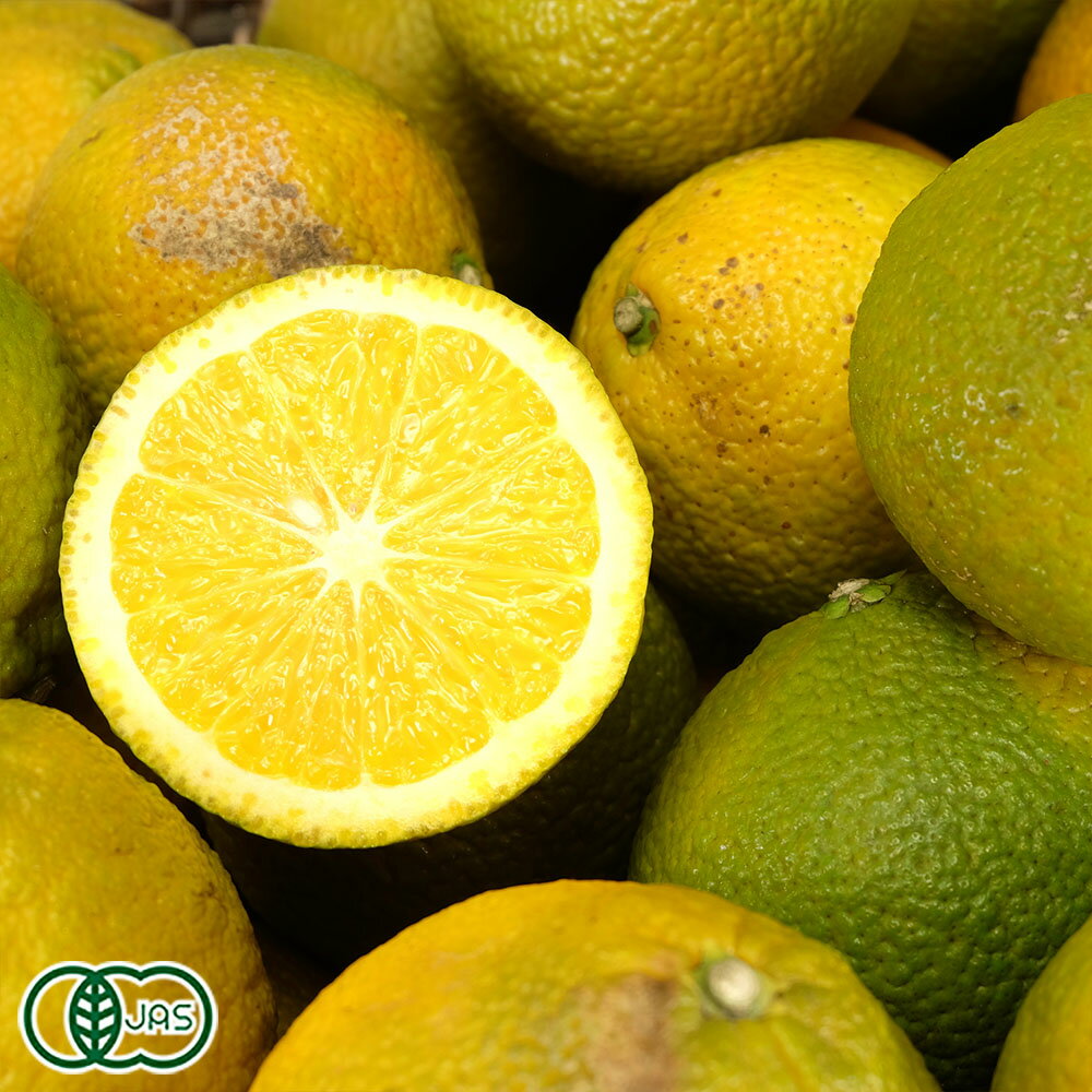 【ポイント10倍★エントリー必須】【A・Bサイズ混合品】 有機スイートスプリング 9kg 有機JAS (神奈川県 山下農園) みかん 産地直送