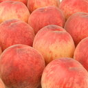 【予約商品】桃 白桃 約2.8kg (山梨県 フルヤ農園) 産地直送