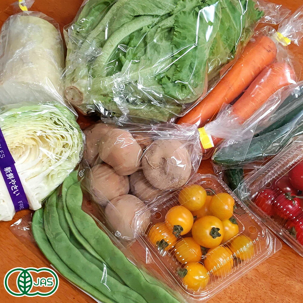 【定期購入商品】せっちゃんの有機野菜セット 4週間配送 有機JAS (青森県 あおぞら農園) 産地直送