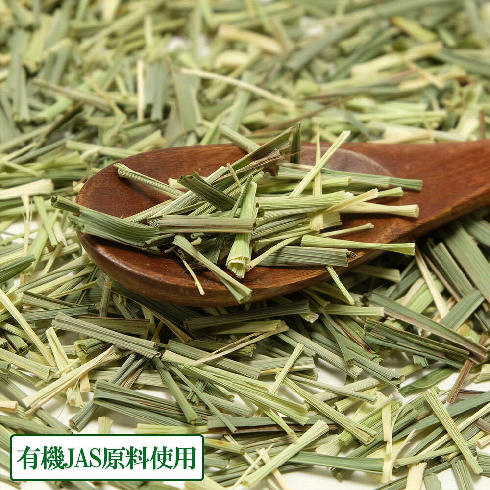 ɥ饤󥰥饹 20g3 (Ĺ긩 ) ͭ󥰥饹 ϡ ľ