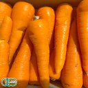 【クール便・B品・訳あり】にんじん 5kg 有機JAS (青森県 十和田生産組合) 産地直送
