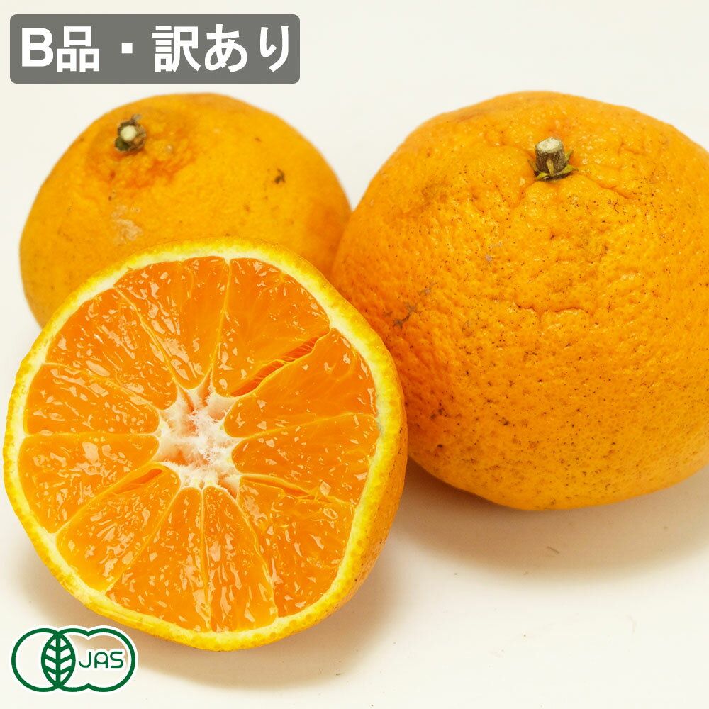 【B品・訳あり】 有機 不知火(シラヌイ) 3kg 有機JAS (佐賀県 佐藤農場株式会社) 産地直送