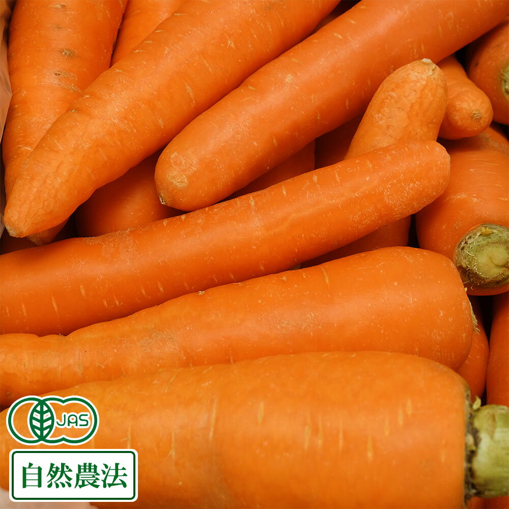 有機にんじん A品10kg 有機JAS (青森県 十和田生産組合) 産地直送のサムネイル