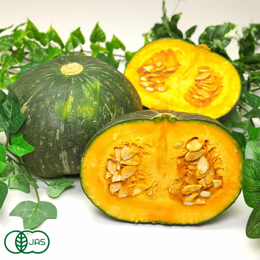 【小玉】有機かぼちゃ ほっとけ栗たん 10kg 有機JAS (山口県 めぐみ農園) 産地直送