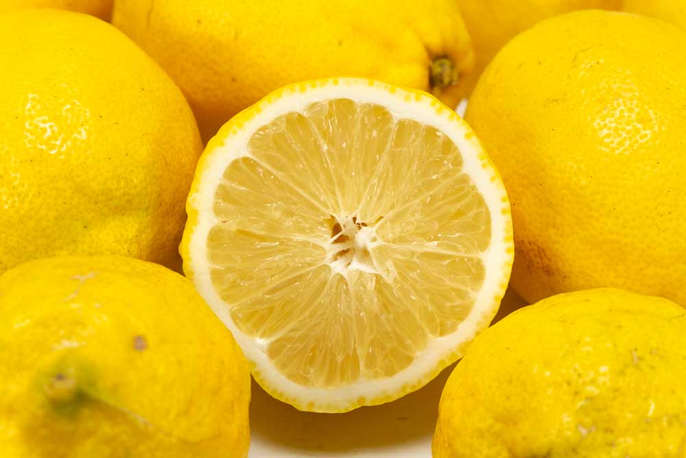 ポイント10倍★エントリー必須！ 【A・Bサイズ混合】 レモン (璃の香) 9kg 自然農法 (和歌山県 泉農園) 産地直送