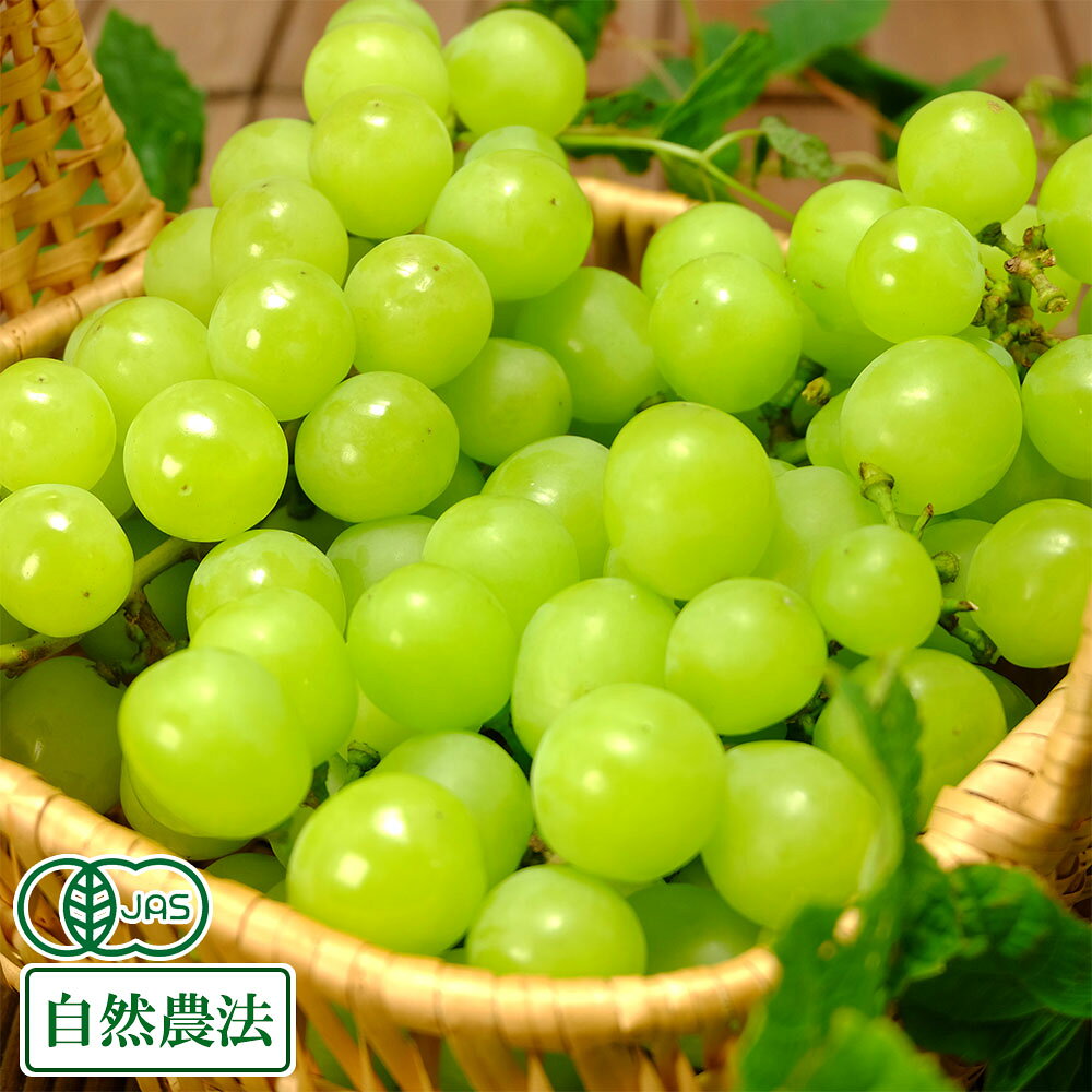 楽天市場】シャインマスカット 無農薬の通販