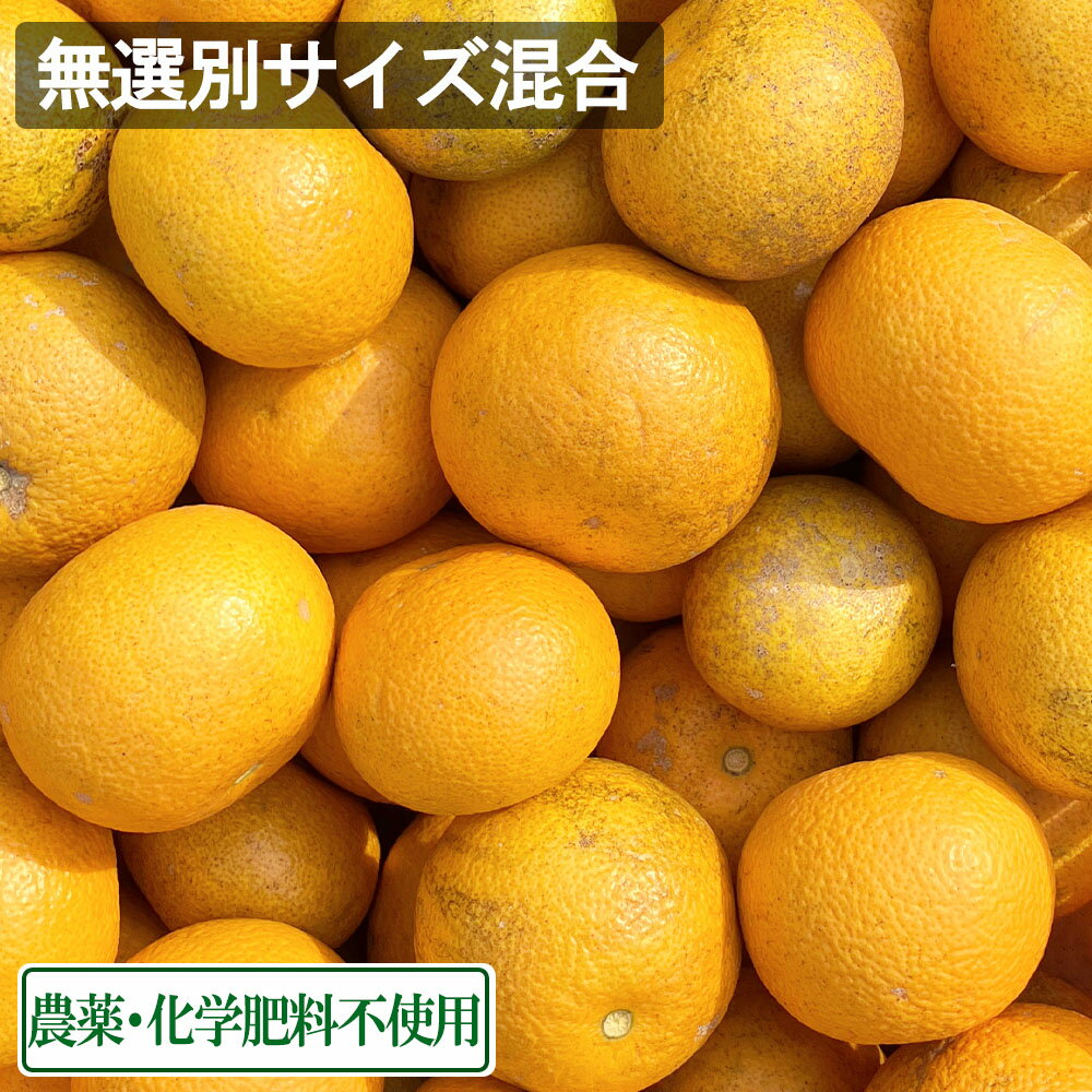 【ポイント10倍★エントリー必須】【無選別サイズ混合】 広島県産(とびしま) はっさく 10kg 無・無 (広島県 とびしま農園) 産地直送 八朔