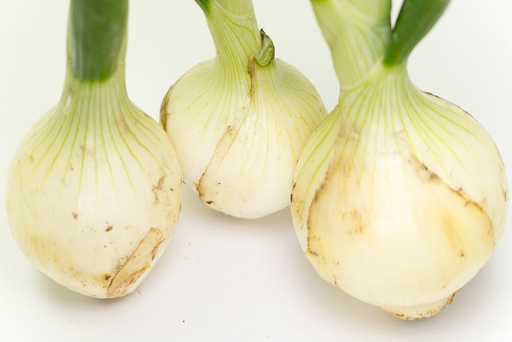 ���դ��̤ͤ� ��2kg��2Ȣ ������ˡ ̵�������� (ʼ�˸�øϩ�� �ֲ����ñ�) ����ľ��