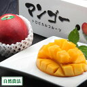 【予約・クール便】アーウィン 秀品1kg 自然農法 (沖縄県 沖縄マンゴー生産研究会) 産地直送 アップルマンゴー