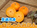 急速冷凍赤ちゃんみかん 3kg(佐賀県 佐藤農場株式会社)無農薬柑橘・送料クール冷凍便無料・産地直送