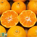 【B品】 有機 ポンカン 10kg 有機JAS (佐賀県 佐...