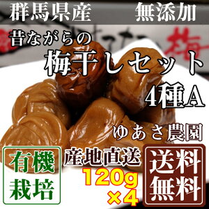 昔ながらの梅干しセット4種A 120g×4パック(群馬県 ゆあさ農園) 有機栽培 梅 無添加 天然塩 使用 送料無料 産地直送