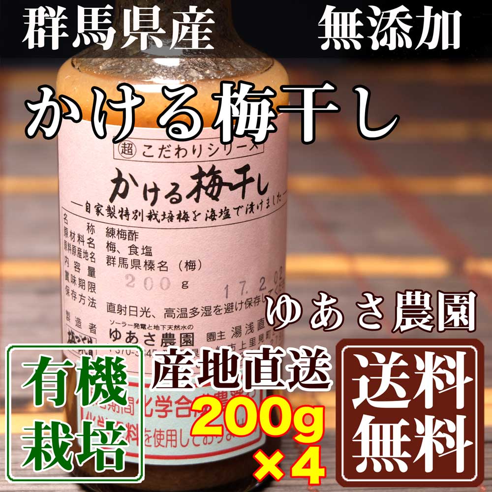 有機JASかける梅干し 200g 4本 群馬県 ゆあさ農園 有機栽培 梅 無添加 天然塩 海の精 使用 送料無料 産地直送