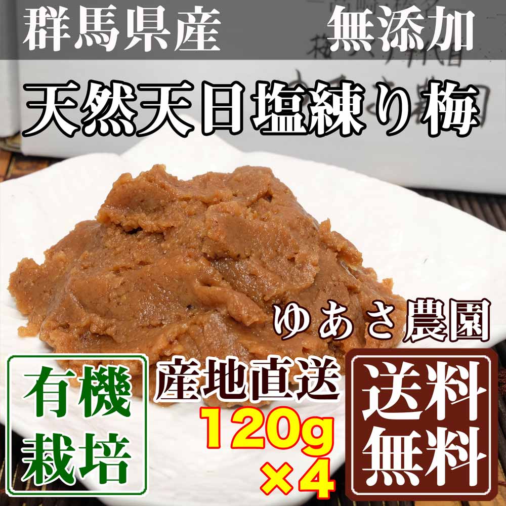 有機JAS天然天日塩練り梅「海の精」使用 120g×4パック (群馬県 ゆあさ農園)有機栽培 梅 無添加 天然塩 送料無料 産地直送