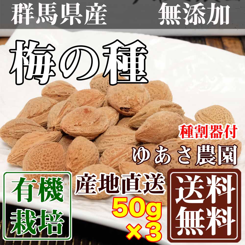 梅の種 種割器付 50g 3袋 群馬県 ゆあさ農園 有機栽培 産地直送 送料無料