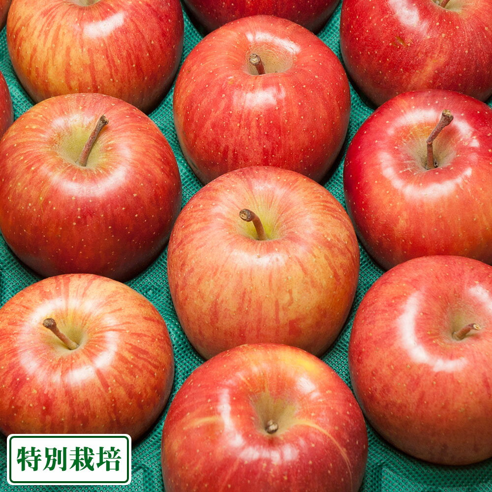 【11月はP10倍★要エントリー】【予約・訳あり】サンふじ 5kg箱 特別栽培 (青森県 阿部農園) 産地直送