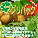 定期購入商品　アグリパック　4週間配送(青森　アグリメイト南郷)無農薬野菜セット　自然農法野菜詰め合わせパック