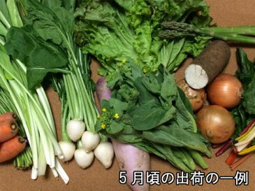 [送料無料]アグリパック(青森　アグリメイト南郷)無農薬野菜セット　自然農法野菜詰め合わせパック・送料無料・産地直送