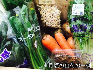 [送料無料]アグリパック(青森　アグリメイト南郷)無農薬野菜セット　自然農法野菜詰め合わせパック・送料無料・産地直送