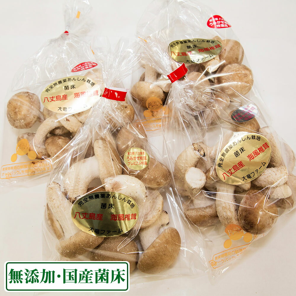 海風しいたけ 特選品 1kg (東京都 大竜ファーム)八丈島