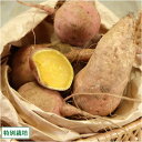 安納芋 M?Lサイズ 5kg(鹿児島 濱川和成)種子島・県特別栽培・無化学肥料さつまいも・送料無料・産地直送