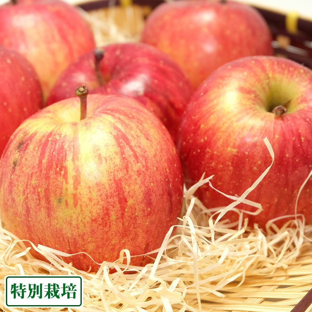 ͽۤդ 3kgȢ ̺ (Ŀ ¼) ľ