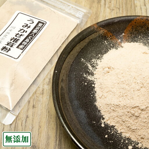 うみかぜ椎茸粉 25g×5袋 (東京都 大竜ファーム)八丈島きのこ 産地直送 うみかぜ椎茸粉 25g×5袋 (東京都 大竜ファーム)八丈島きのこ 産地直送