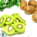 石綿キウイフルーツ 約1.7kg 有機JAS (神奈川県 石...
