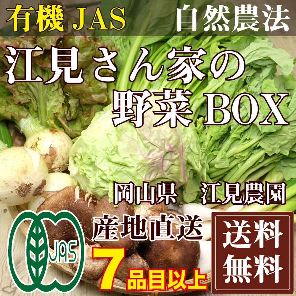 江見さん家の野菜BOX 自然農法 有機J