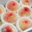 【予約・クール便・家庭用】桃 白鳳 2kg×2箱 有機JAS (岡山県 エコファームmitani) 産地直送