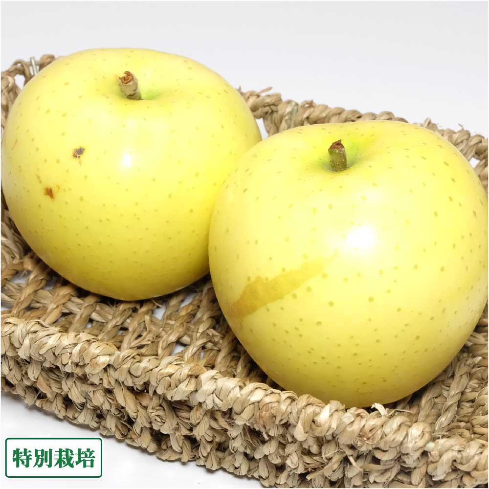 【数量限定・クール便・予約】早生りんご(きおう) 訳あり 3kg箱 特別栽培 (青森県 田村りんご農園) 黄王 産地直送