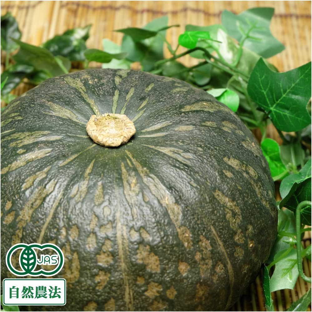かぼちゃ 約20kg 有機JAS 自然農法 (北海道 はるか農園) 産地直送