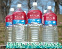 丹内坂下めぐみの水 2L×12本(青森県 