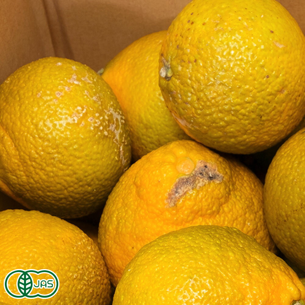 ��B�ʡ��������ͭ���������ȥ��ץ�� 3kg ͭ��JAS (���츩 ��ƣ����������) ����ľ��