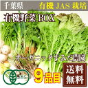 【クール冷蔵便】有機野菜BOX 有機JAS(千葉県 オーガニックすみだ農園) 無農薬野菜詰め合わせパック 産地直送