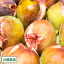 【クール便・家庭用】 イチジク蓬莱柿 300g×4パック 自然農法 (広島県 万汐農園) 産地直送 いちじく