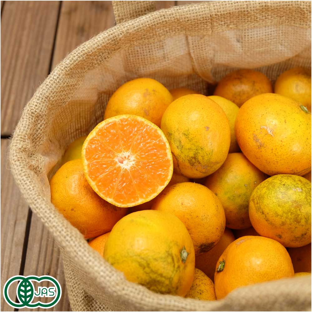 【12月はP10倍★要エントリー】【A・Bサイズ混合】小田原みかん 10kg 有機JAS (神奈川県 ...