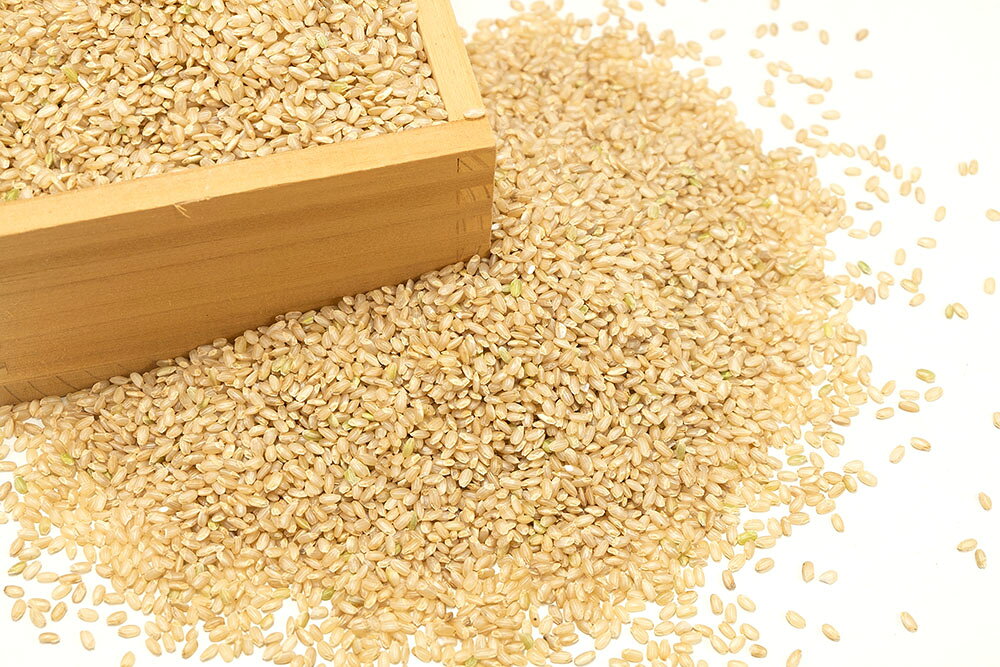 化学合成された農薬、肥料を一切使用しない 有機 無農薬 米 5kg が 送料無料　【11月はP10倍★要エントリー】【令和7年度産】金のいぶき 玄米 5kg 有機JAS 自然農法 (宮城県 仙台たんの農園) 産地直送