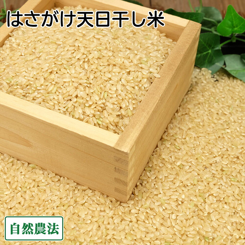 【11月はP10倍★要エントリー】【令和7年度産】田口さんちのはさがけ天日干し米(つがる) 玄米 5kg 自然..