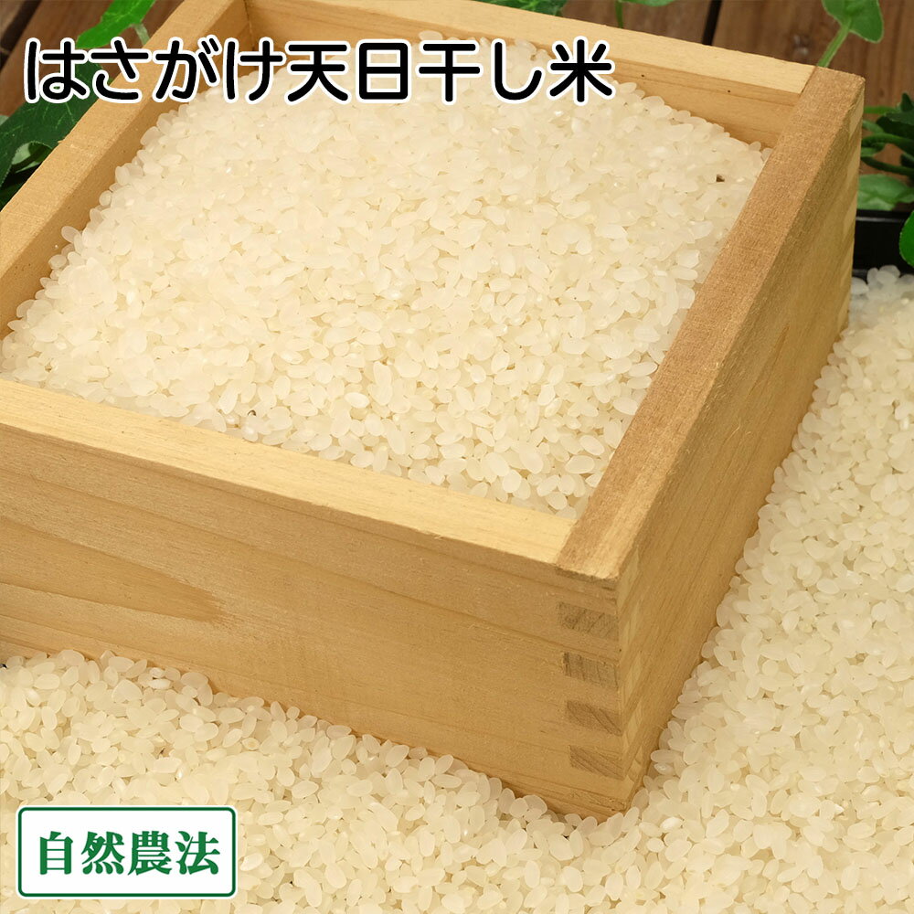 田口さんちのはさがけ天日干し米精米...