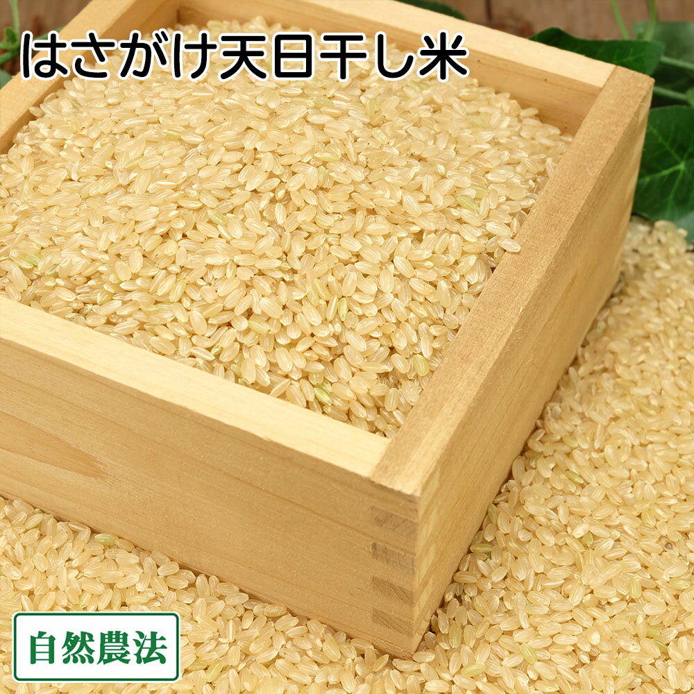 【11月はP10倍★要エントリー】【令和7年度産】田口さんちのはさがけ天日干し米(あきた) 玄米 10kg 自然..