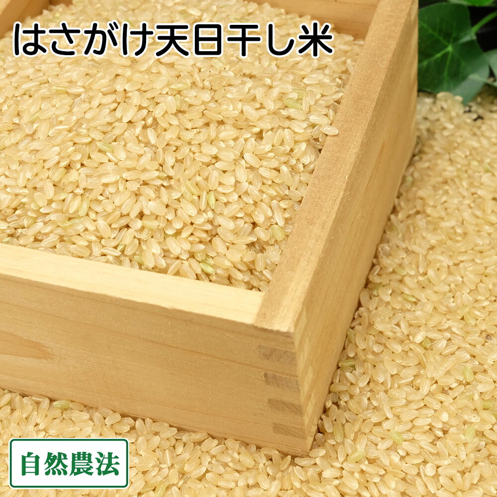 【令和6年度産】田口さんちのはさがけ天日干し米(むつ) 玄米 10kg 自然農法 (青森県 だんごっ ...