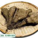 【ふるさと納税】乾燥 きくらげ スライス 50g 沖永良部島特産 食物繊維 天日干し 鉄分 カルシウム ビタミンD 中華料理 煮物 炒め物 パスタ 酢の物 サラダ トッピング 普通郵便 定形外郵便 国産 鹿児島県 和泊町 送料無料