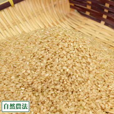 【令和元年度産】あきたこまち 玄米5kg 自然農法 (青森県 アグリメイト南郷) 産地直送